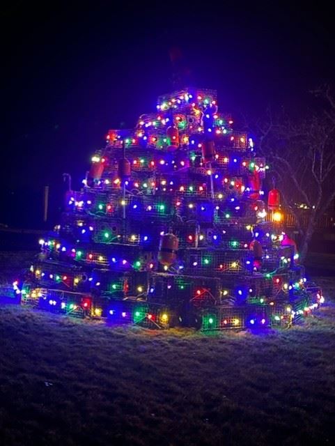 trap tree lit up