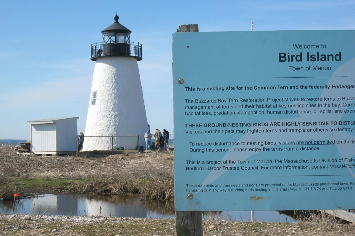 Light House Welcome Sign Message
