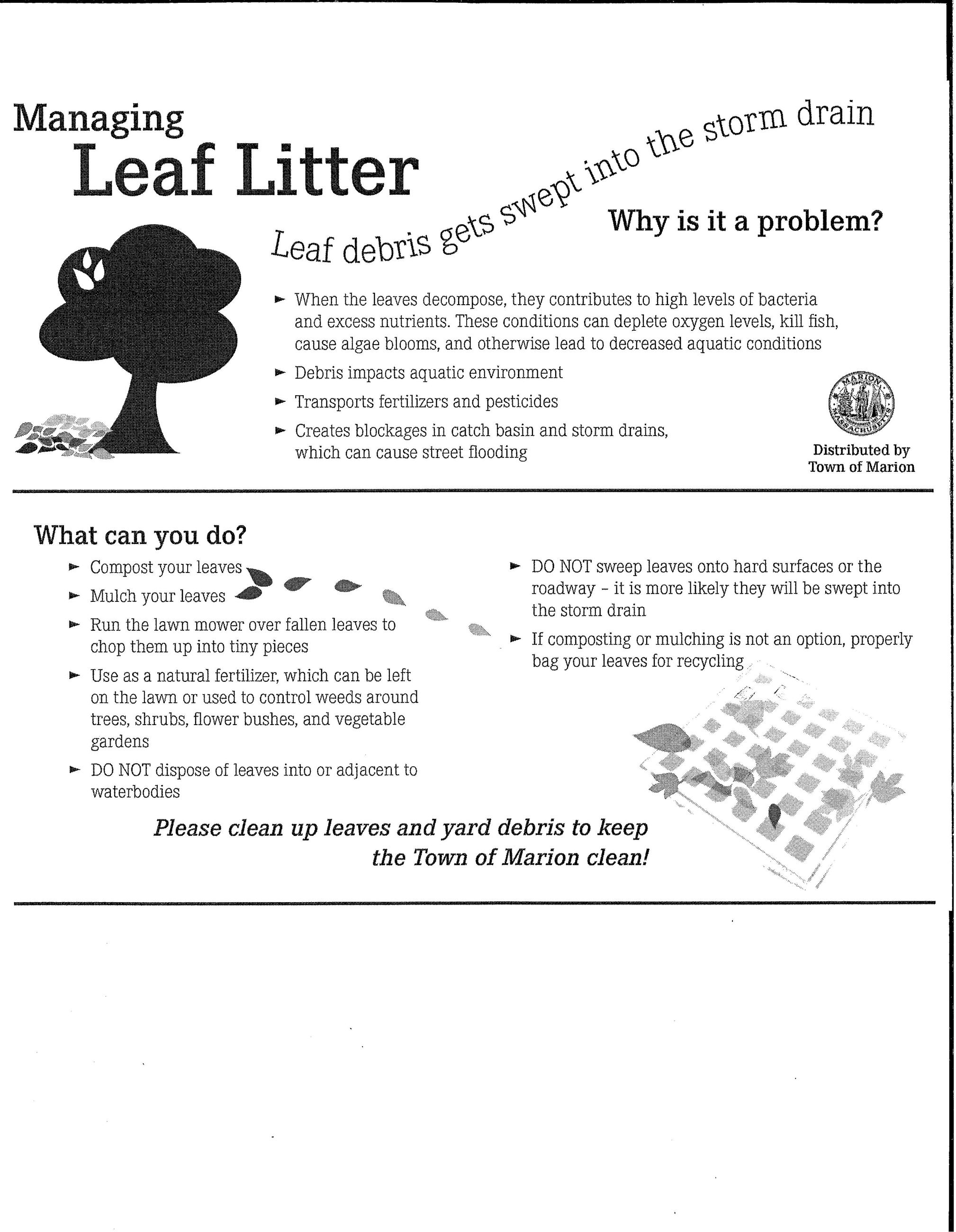 Leaf Litter flyer, black and white tree, black and white leaves